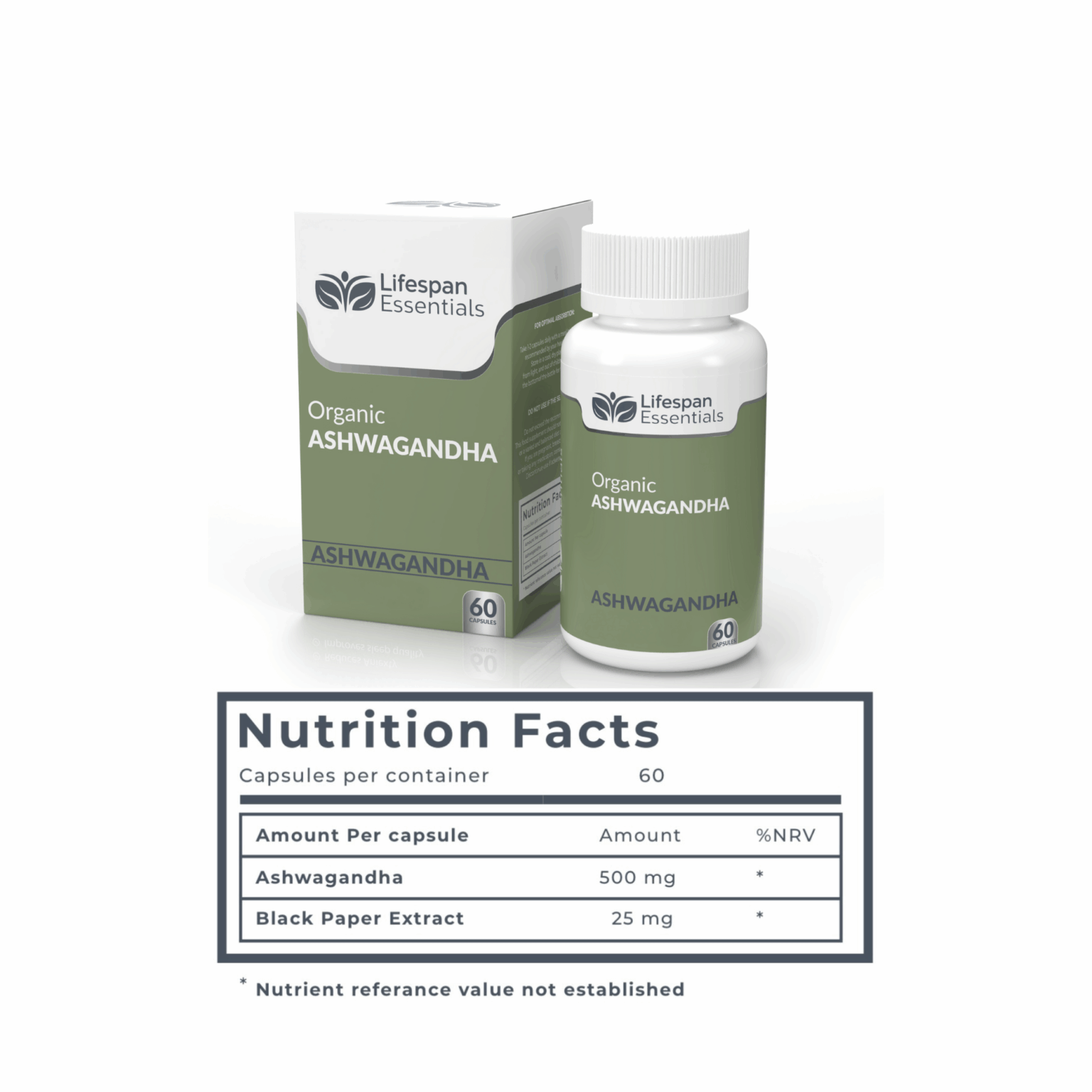 BRAIN & FOCUS BUNDLE