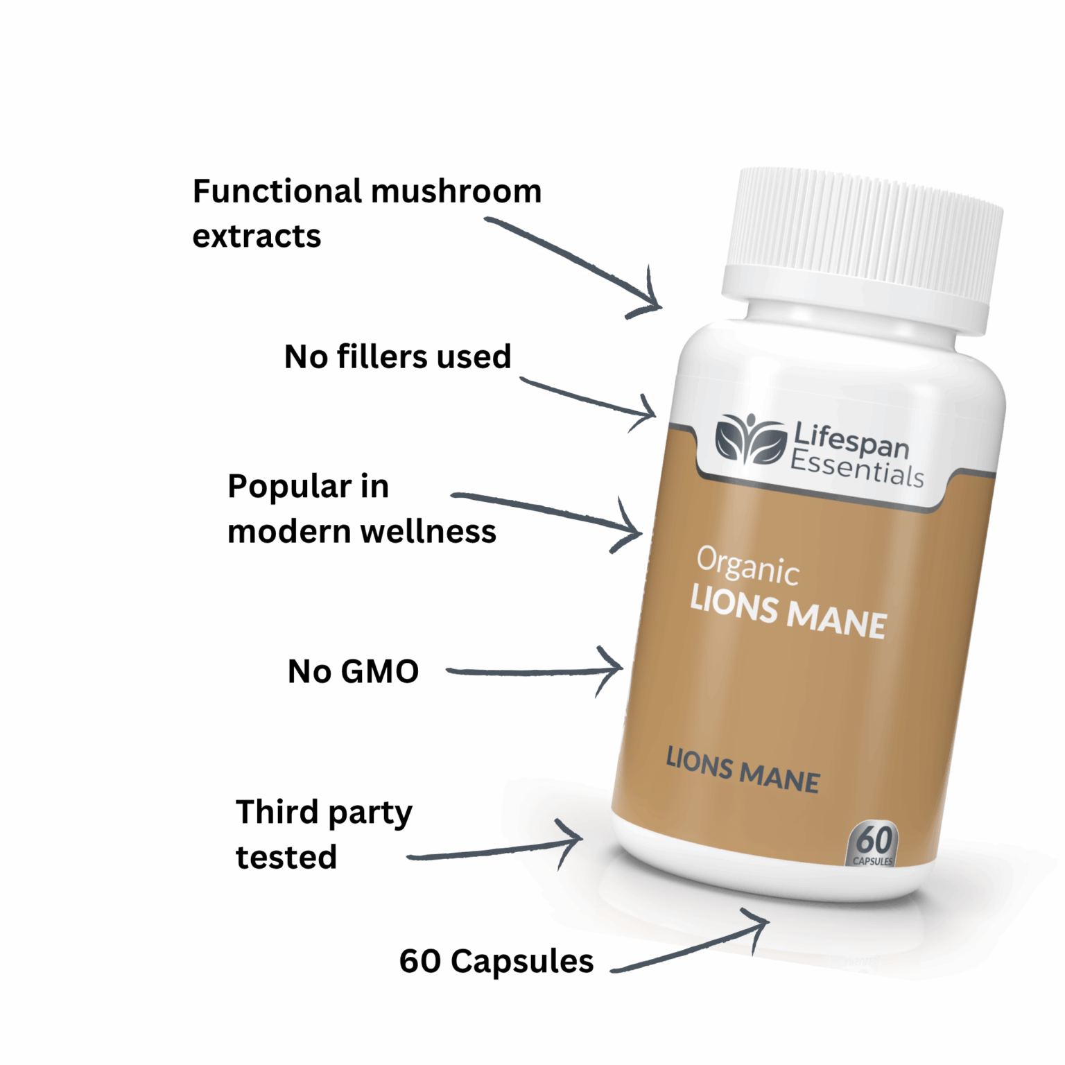 BRAIN & FOCUS BUNDLE