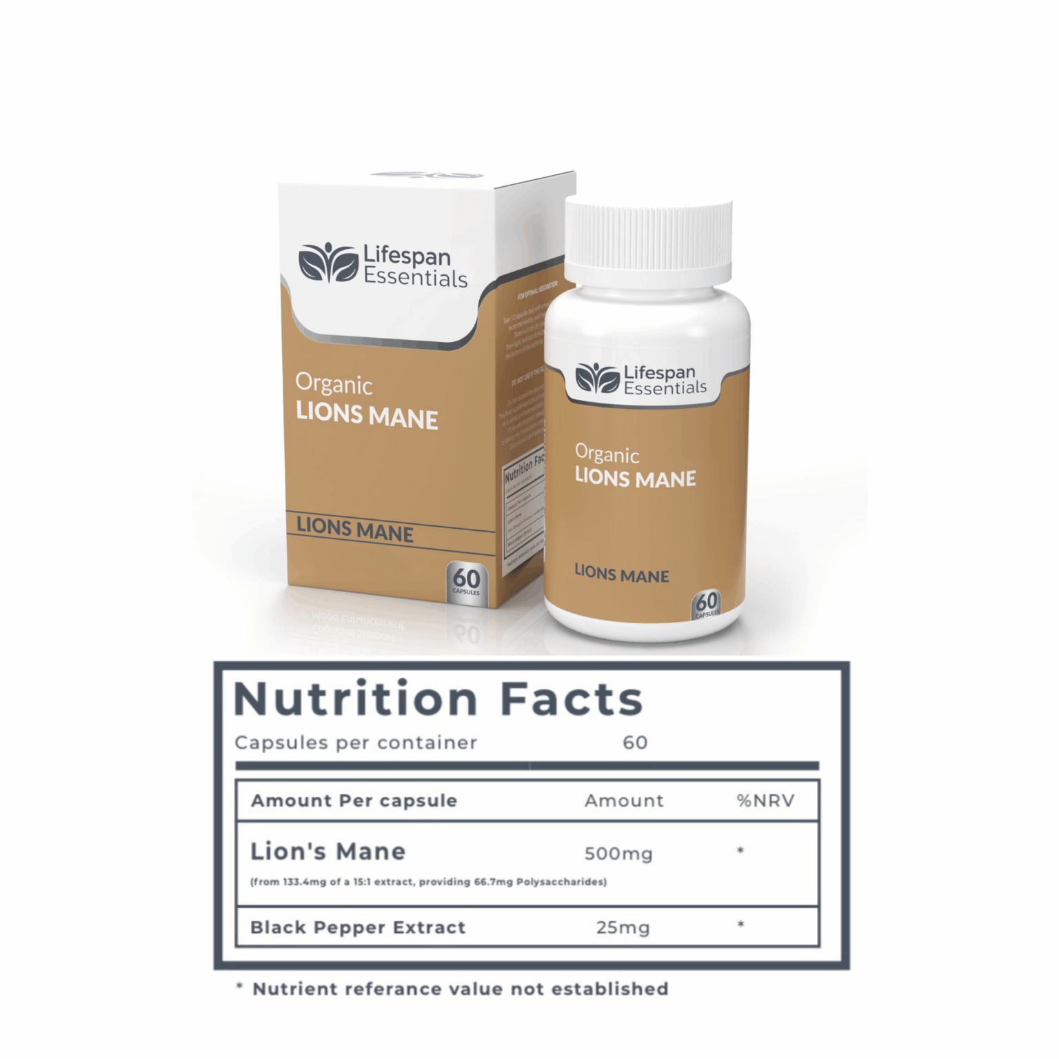 BRAIN & FOCUS BUNDLE